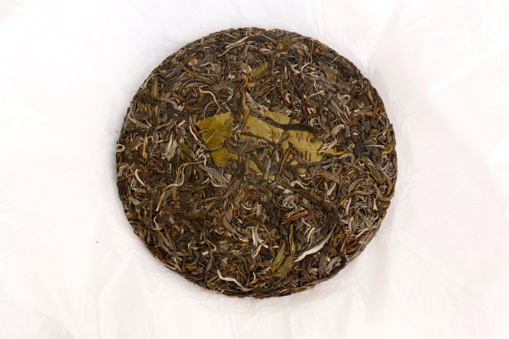 Autumn 2017 Jingmai Shengtai