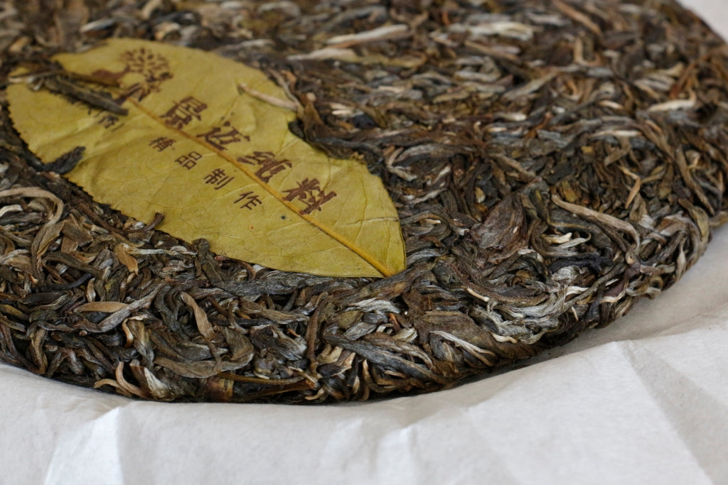 Autumn 2018 Jingmai Gushu