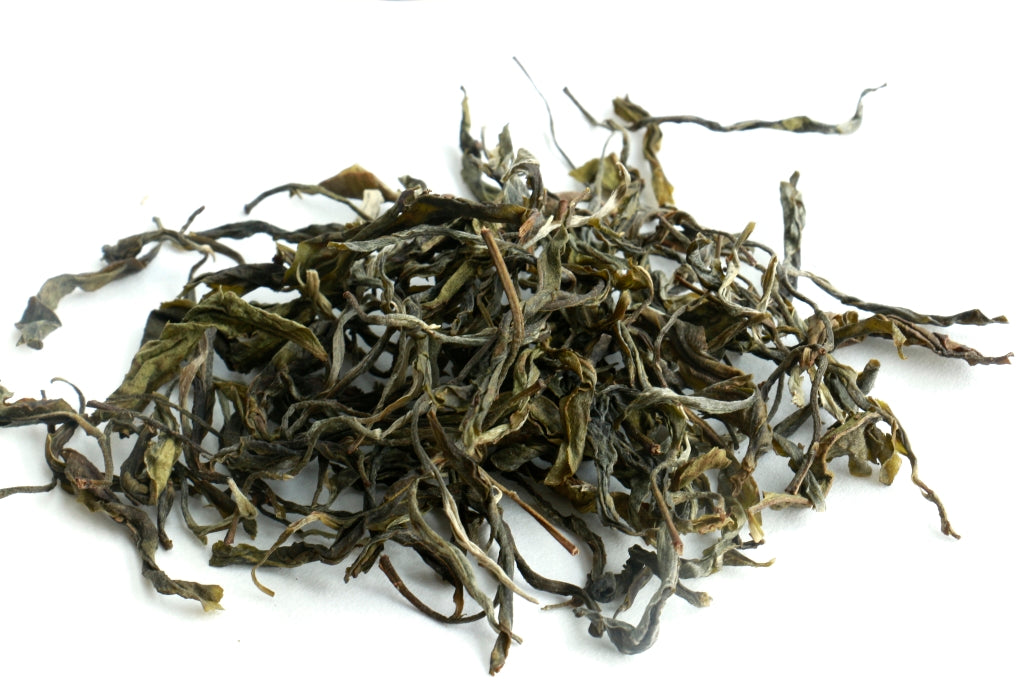 Autumn 2019 Jingmai Gushu Maocha