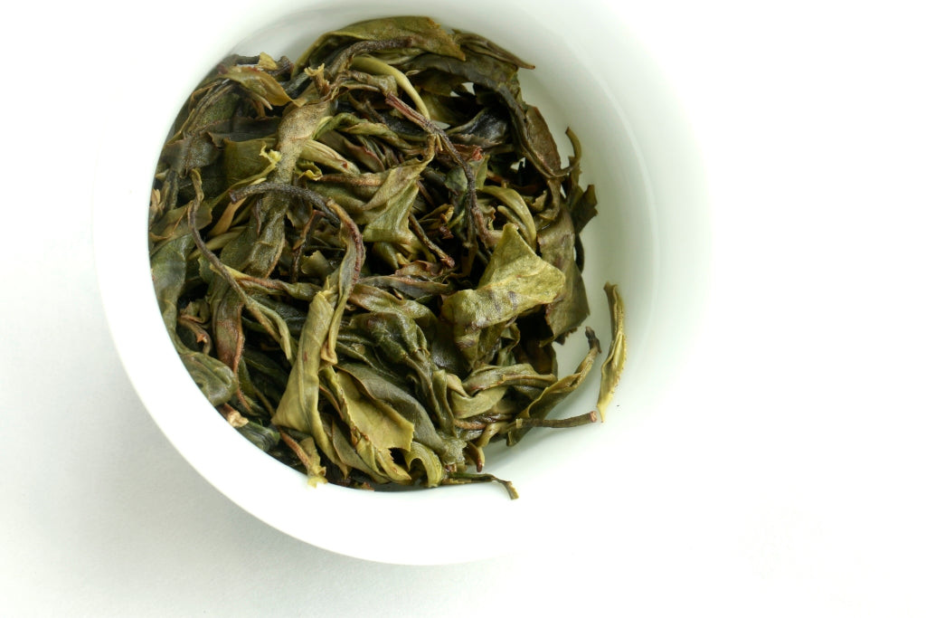 Autumn 2019 Jingmai Gushu Maocha