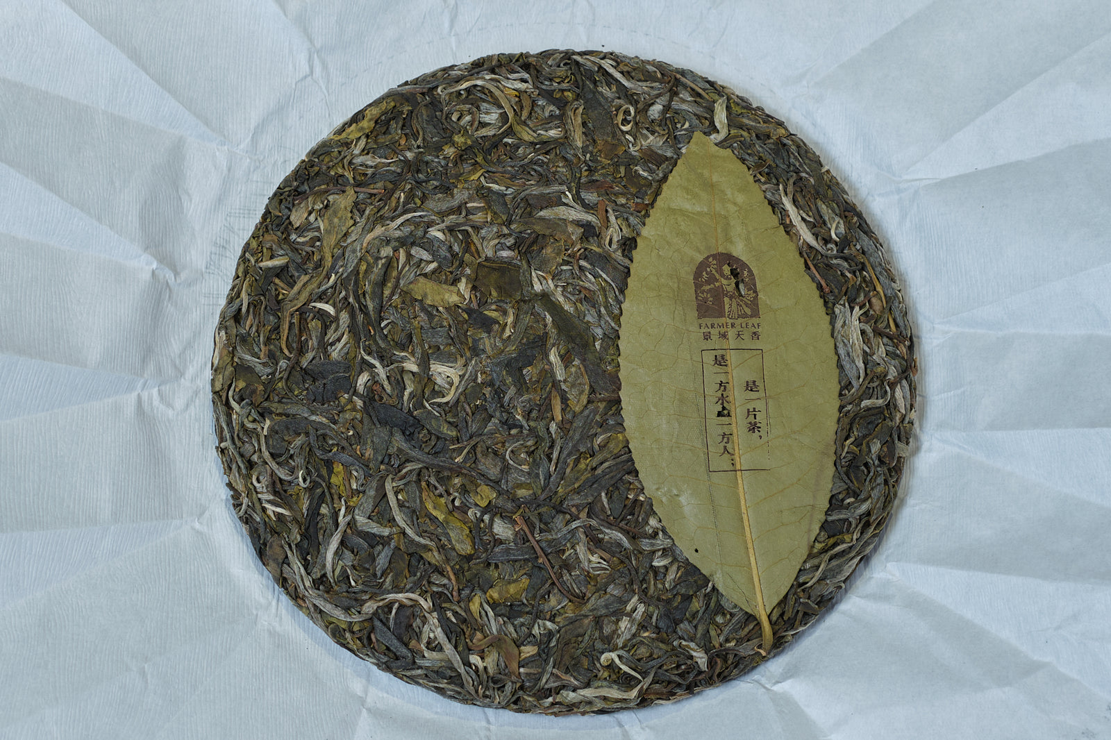 Spring 2022 Ba Da Ye