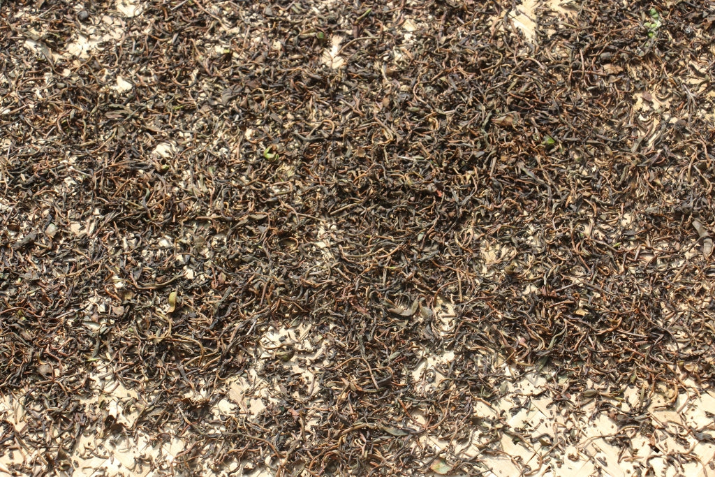 Spring 2019 Jingmai Sun-Dried Black -- Short oxidation