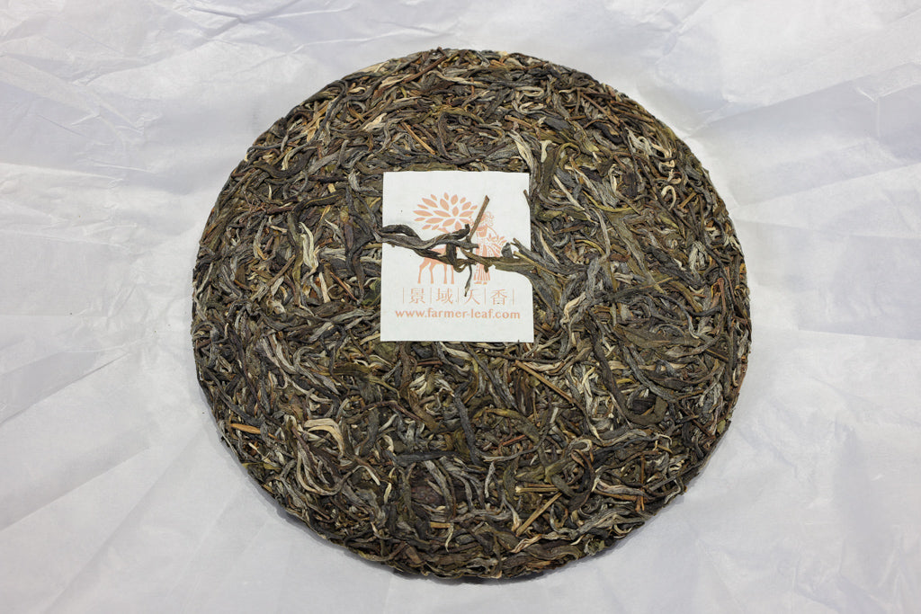 Autumn 2020 Jingmai Gushu