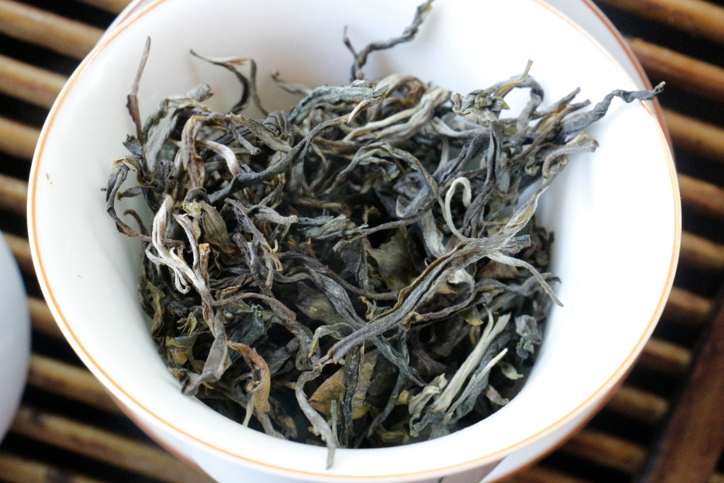 Spring 2020 Jingmai Gushu Mao Cha