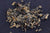 yunnan oriental beauty made in Jingmai