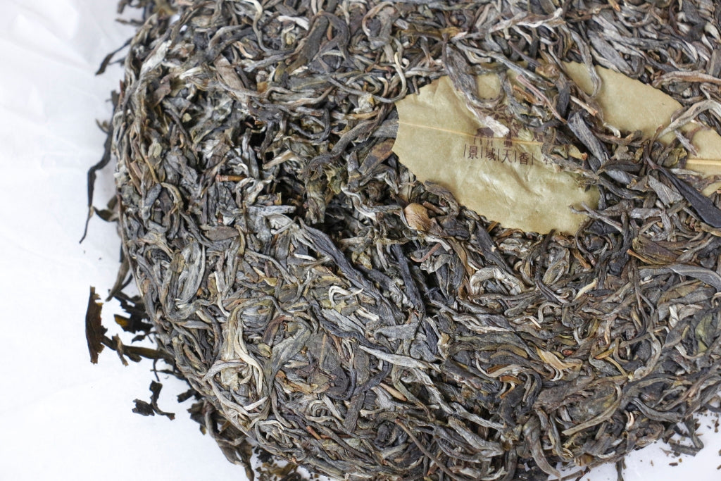 Spring 2018 Jingmai Mang Guo