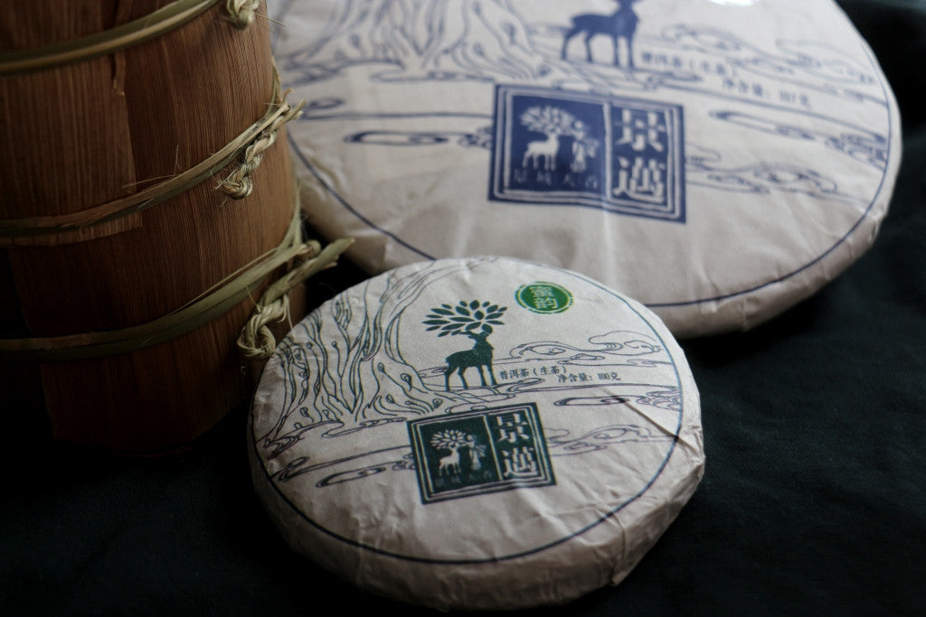 Spring 2017 Jingmai Miyun