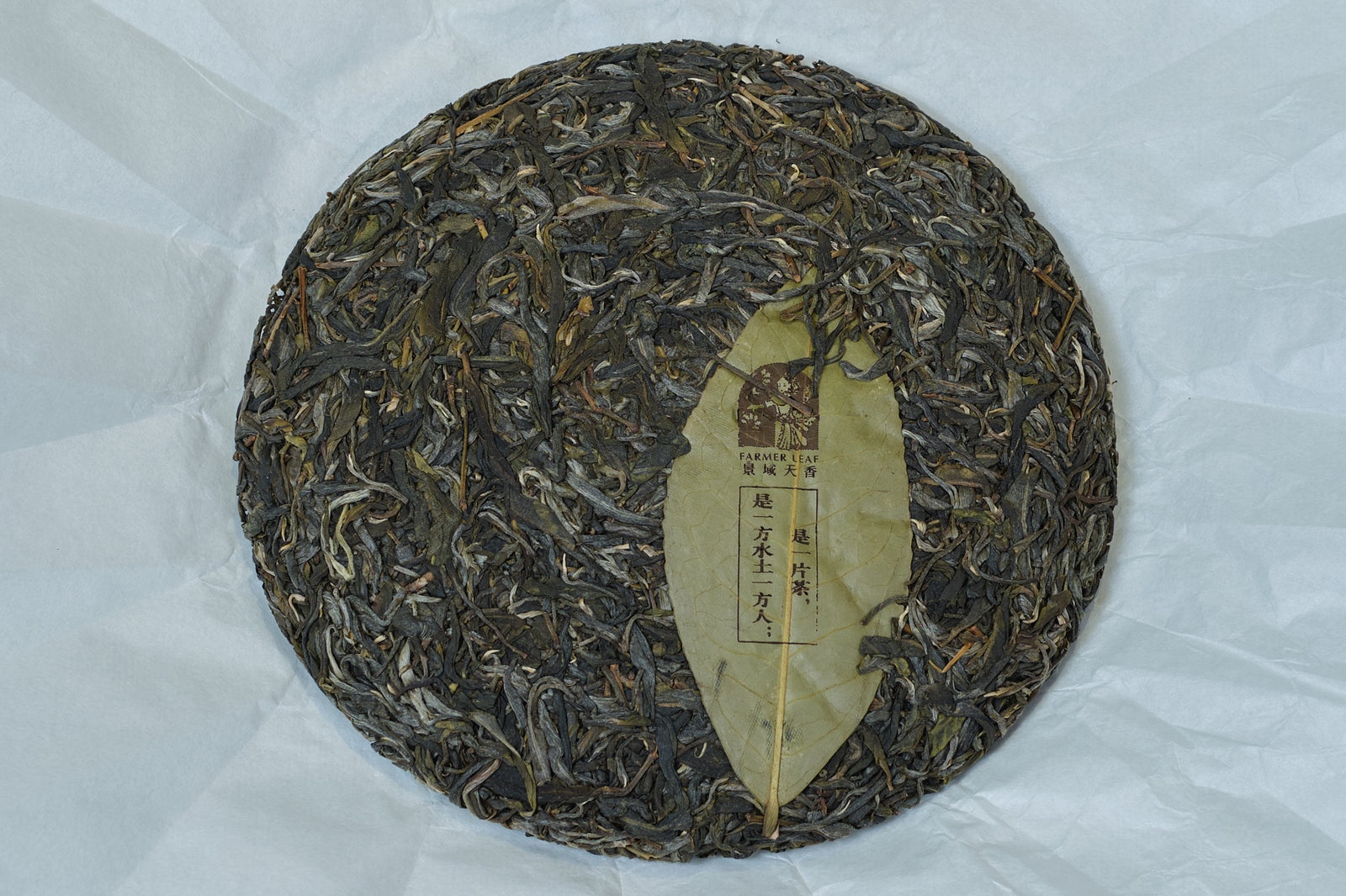 Spring 2022 Jingmai Gulan