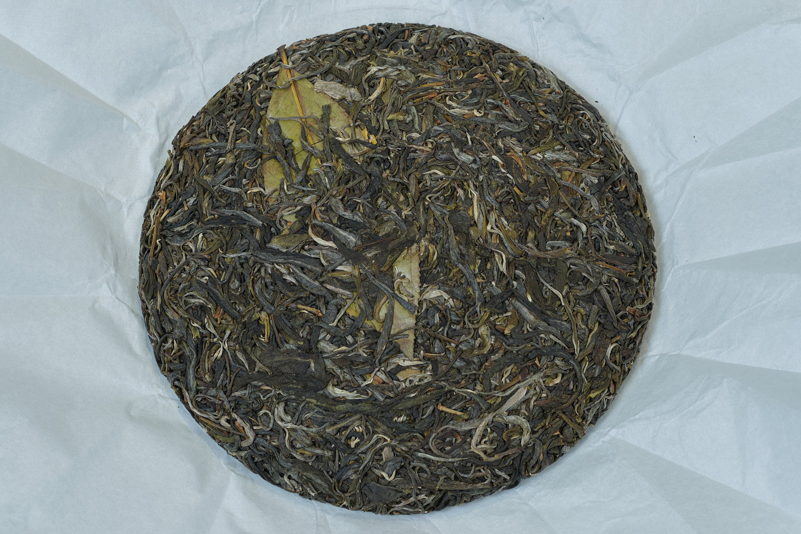 Spring 2022 Jingmai Miyun