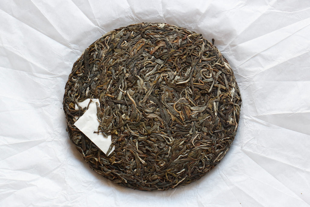 Autumn 2020 Lao Man E