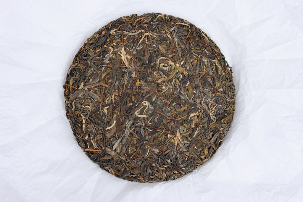 Autumn 2021 Lao Man E