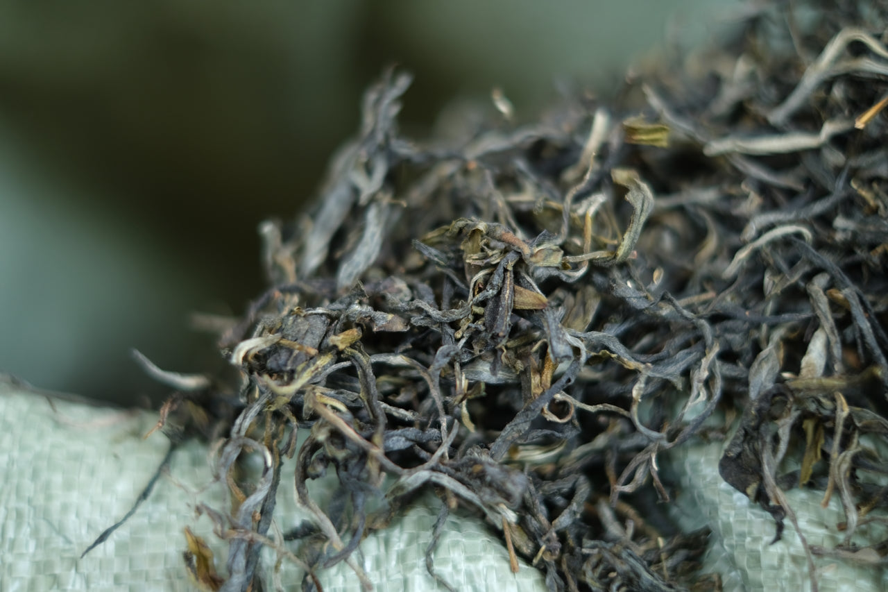 Spring 2023 Nuo Gu Wan small trees