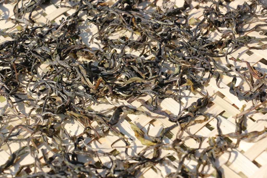 February 2019 Mae Hong Son Maocha