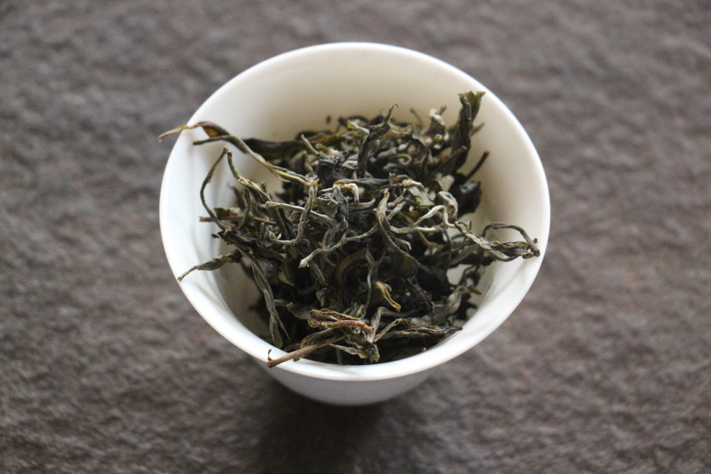 Spring 2021 Mang Guo