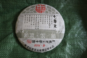 Spring 2016 Mi Jing