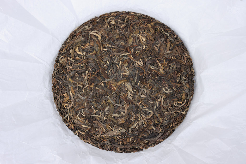 Autumn 2021 Naka big trees