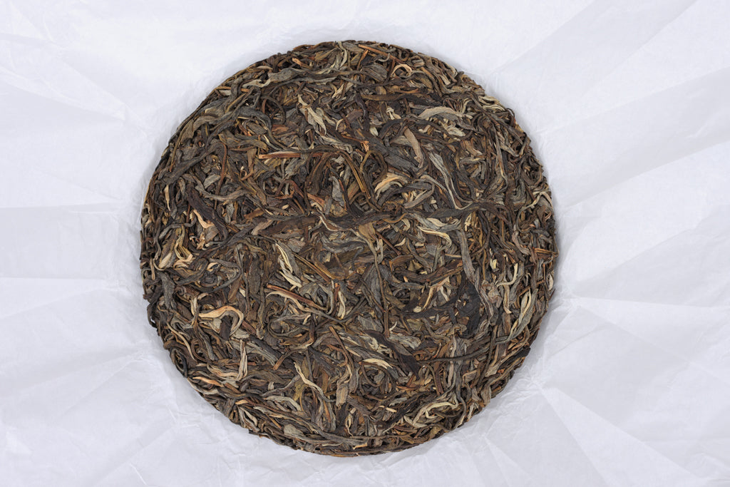 Autumn 2021 Naka small trees