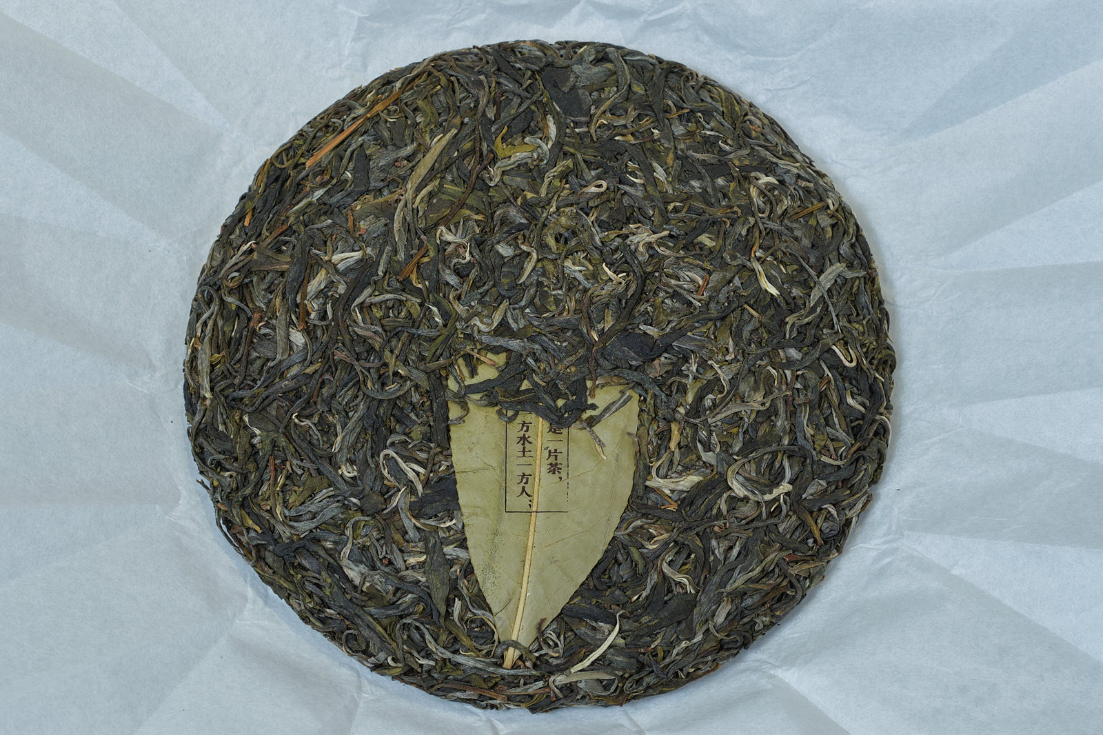 Spring 2022 Jingmai Nuo Gu Wan