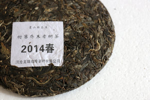 Spring 2014 Pa Sai