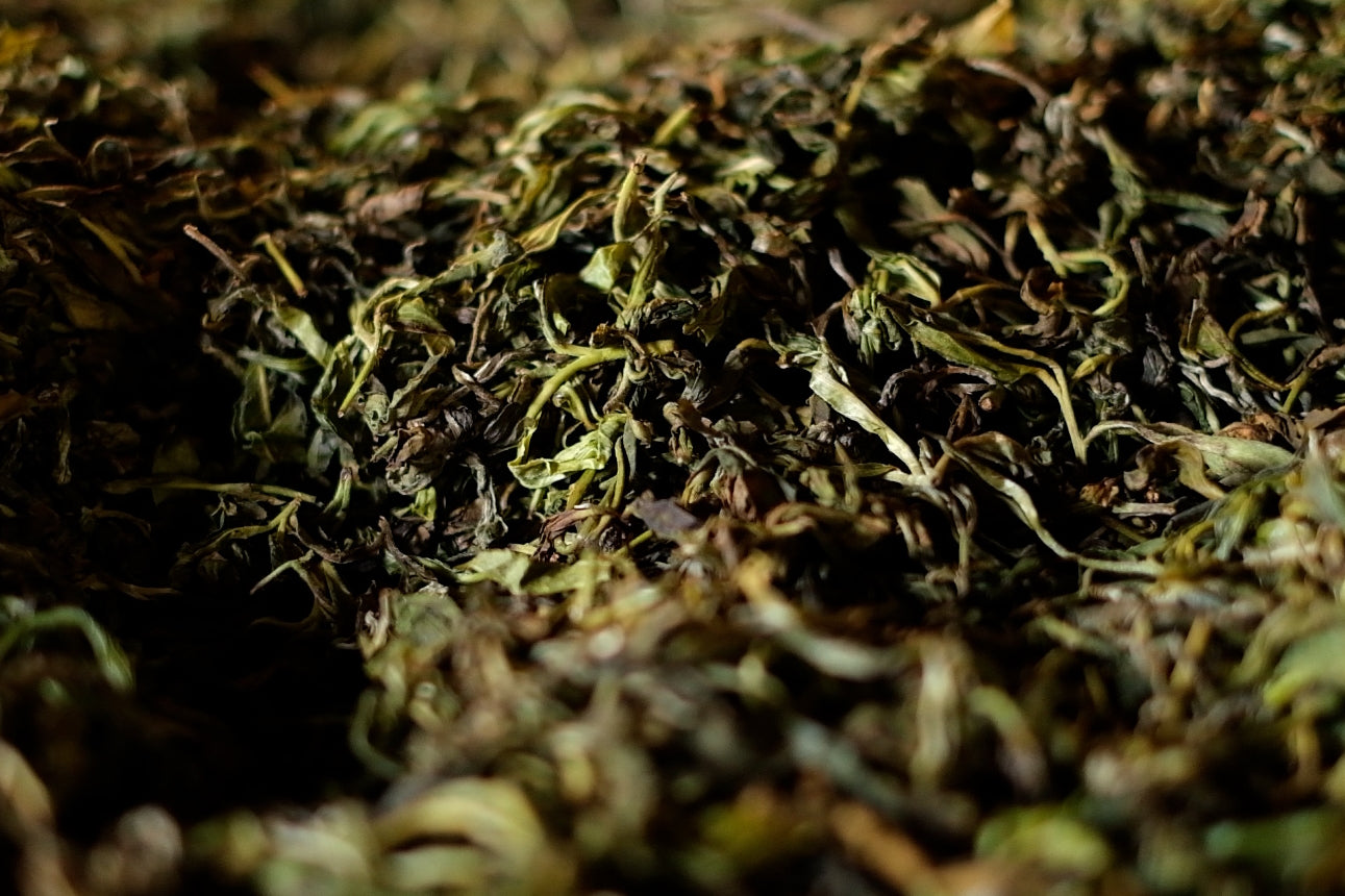 Spring 2023 Reddened Puerh tea