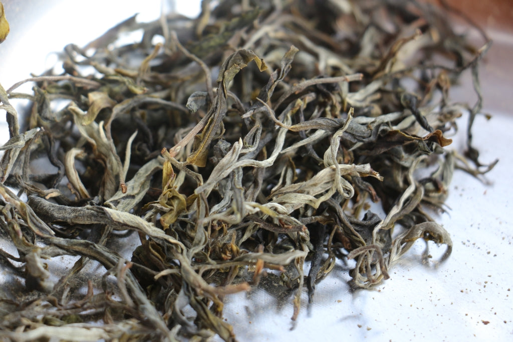 Spring 2020 Jingmai Shengtai Mao Cha