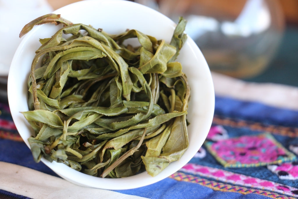 Spring 2020 Jingmai Shengtai Mao Cha