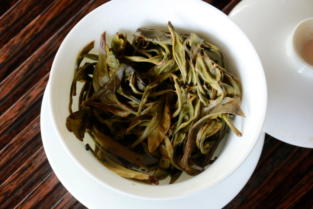 Spring 2019 Jingmai Shengtai