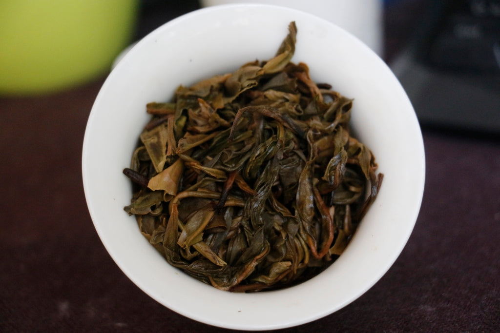 Spring 2011 Jingmai Gushu Mao Cha