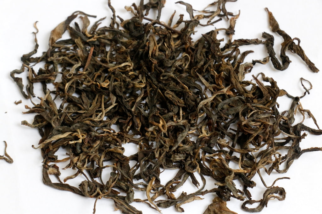 Spring 2011 Jingmai Gushu Mao Cha