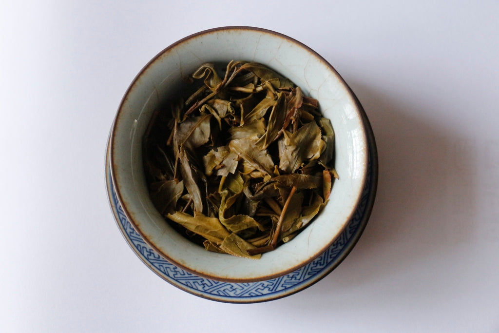 Spring 2015 Jingmai Shengtai