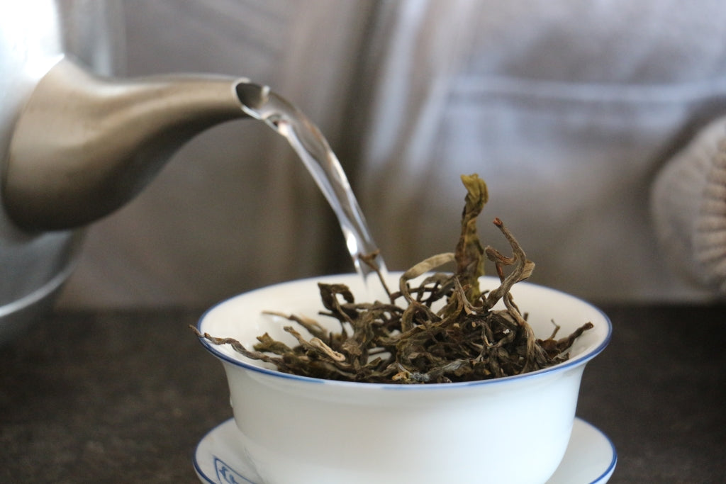 Spring 2017 Jingmai Gushu Mao Cha