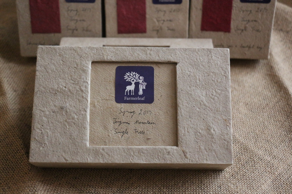 Spring 2017 Jingmai Single Trees