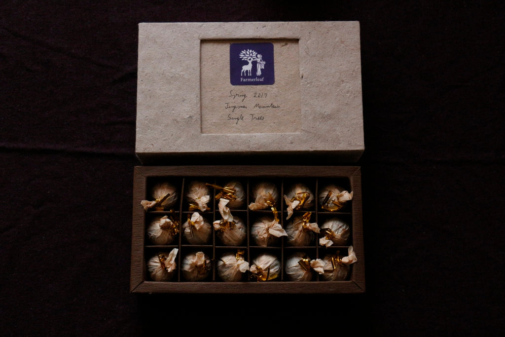 Spring 2017 Jingmai Single Trees