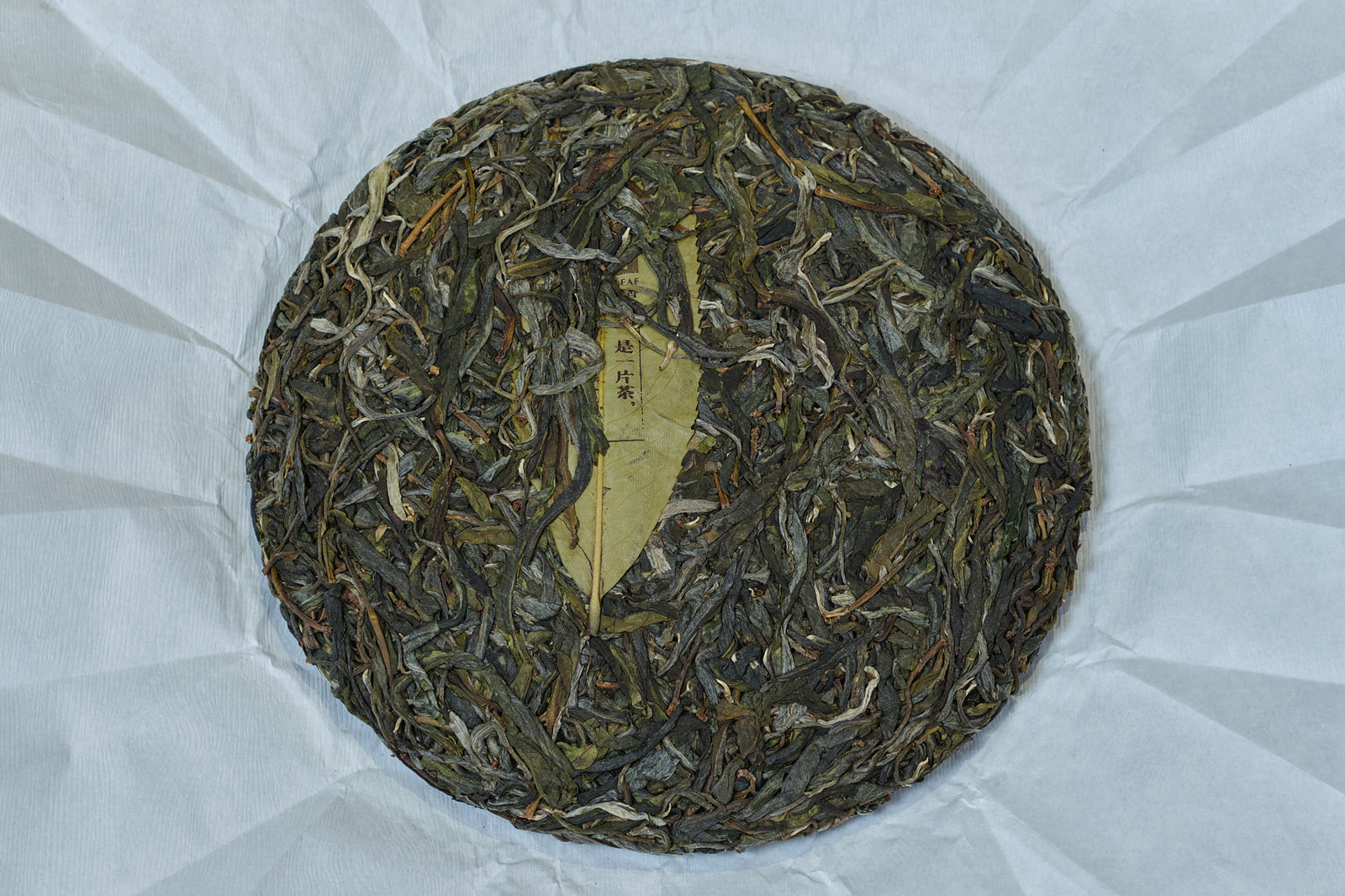 Spring 2022 Tang Fang Liang Zi