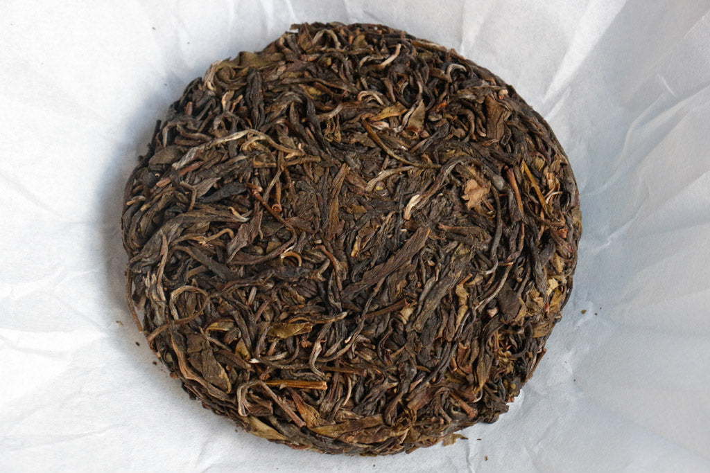 Autumn 2019 Tungkualinoy