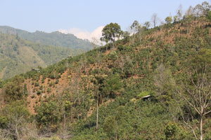 Spring 2019 Bulang Shan