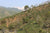 Spring 2019 Bulang Shan