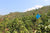 Spring 2019 Bulang Shan