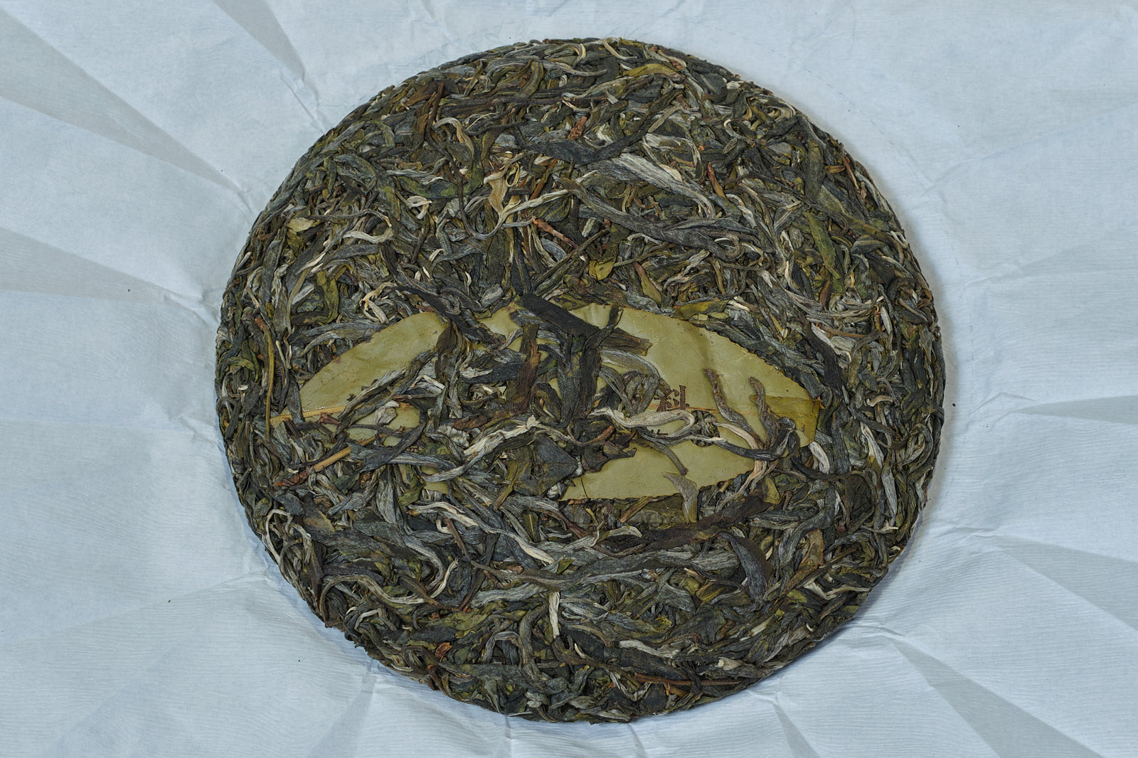 Spring 2022 Wen Shan Ding