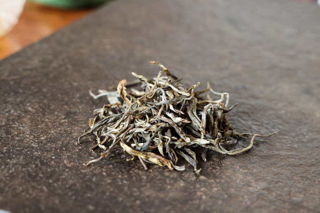 Spring 2017 Xiao Hu Sai