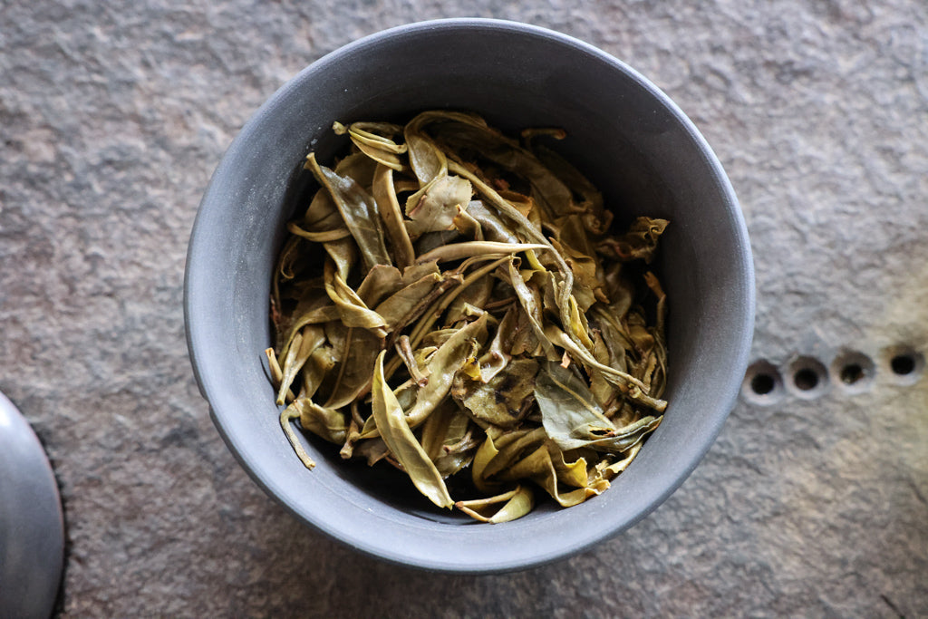 Spring 2017 Xiao Hu Sai