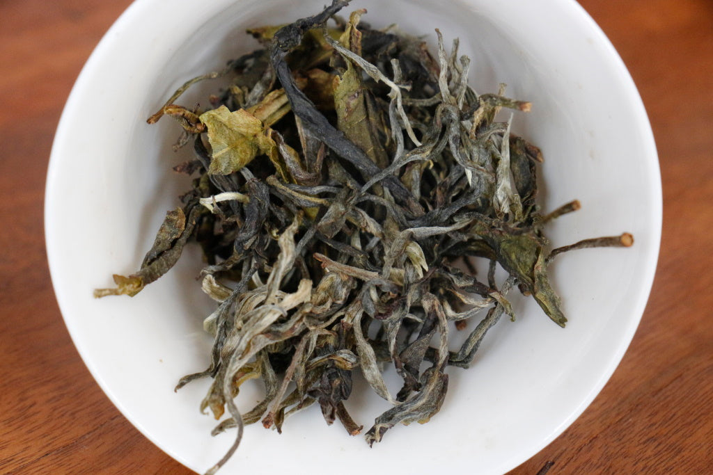 Spring 2021 Yi Dui