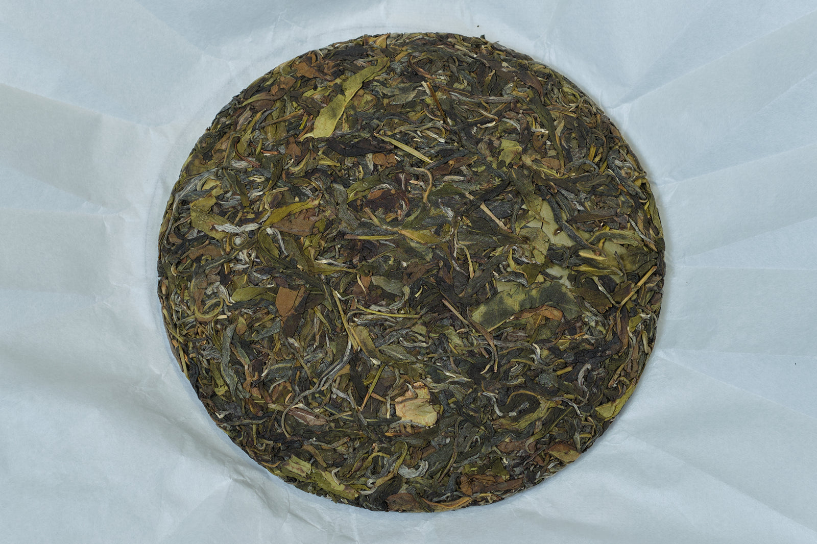 Spring 2022 Jingmai Yi Shai